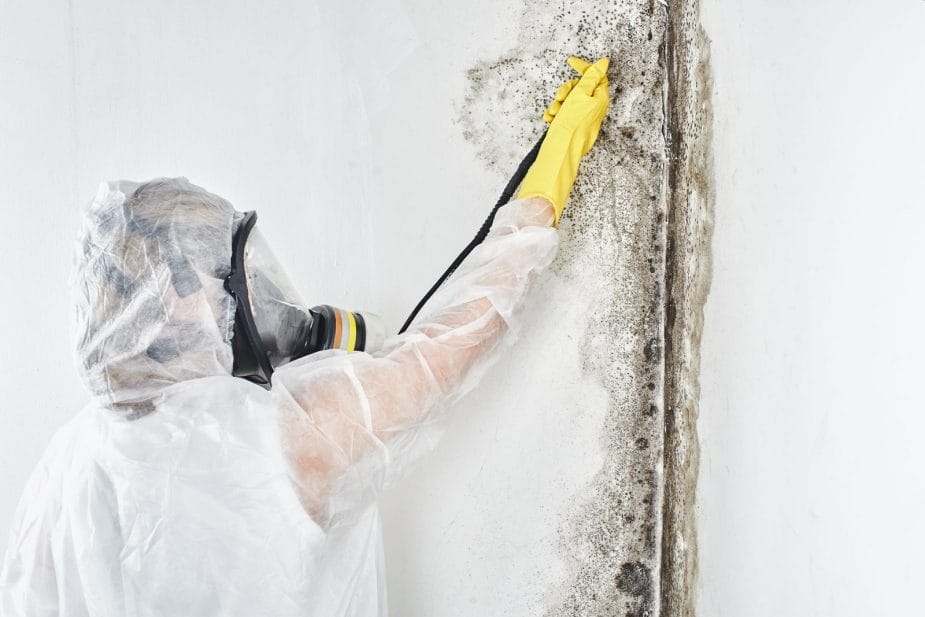 The Mold Remediation Process Is Critical To Properly Remove Mold In Lake County, Illinois