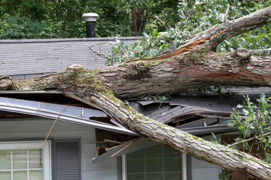 Our Comprehensive Wind Damage Services