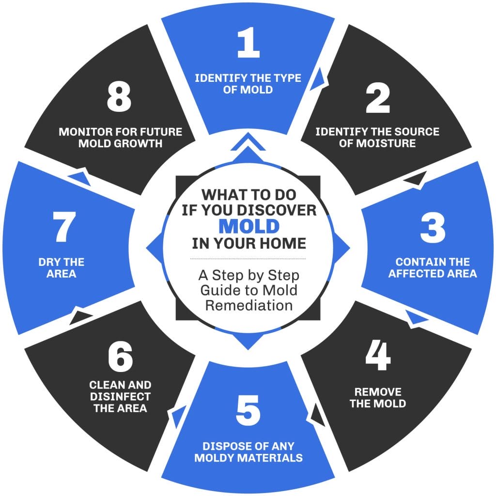 Infographic on Mold Remediation: What to do if you find mold in your house, a Step-by-Step Guide to Safely Remove Mold 