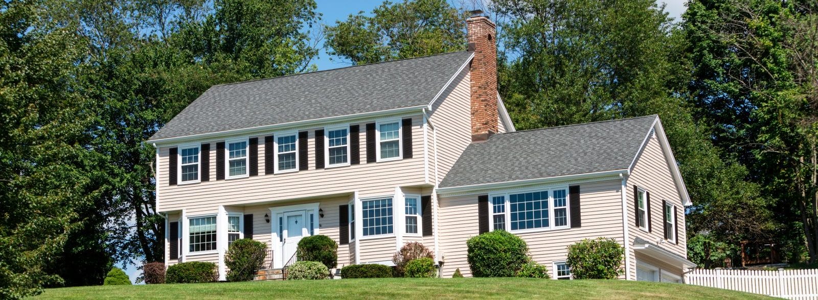 What to Do If You Discover Mold in Your Home
