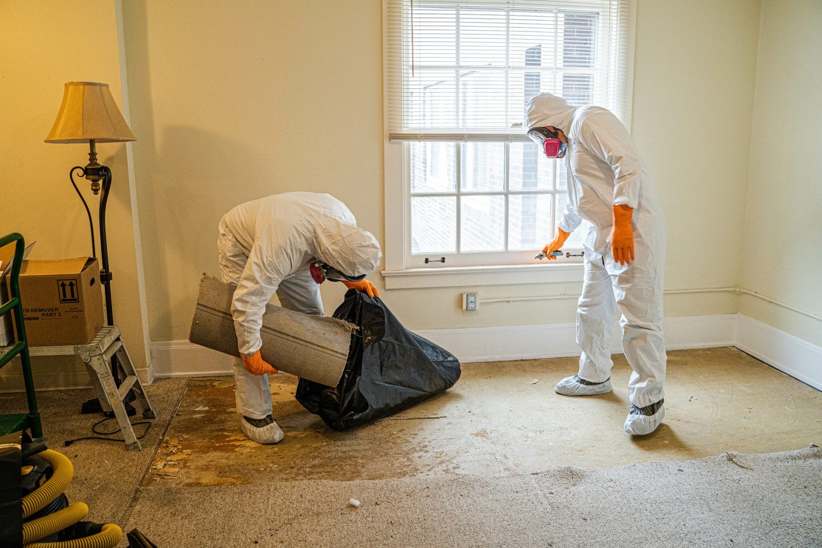 Debunking Water Damage Restoration Myths